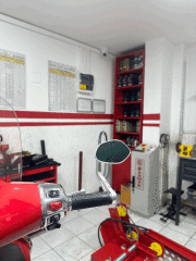 VESPA GİDON AYNA ZELİONİ OVAL GÜMÜŞ